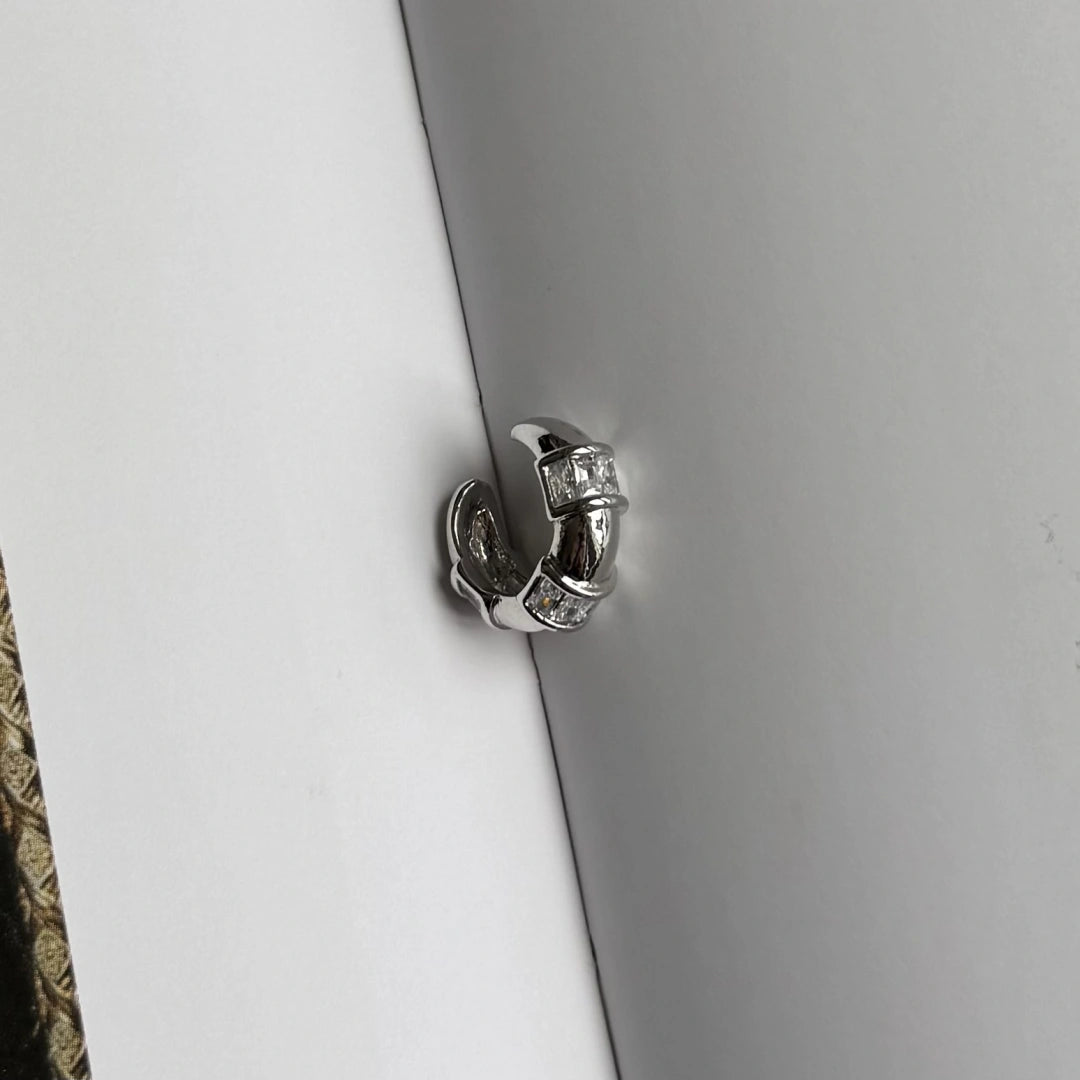 Luxury Kristal Silver Kıkırdak Küpe